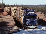 Scania 143H 500 6x2 Timber Truck 1985 года